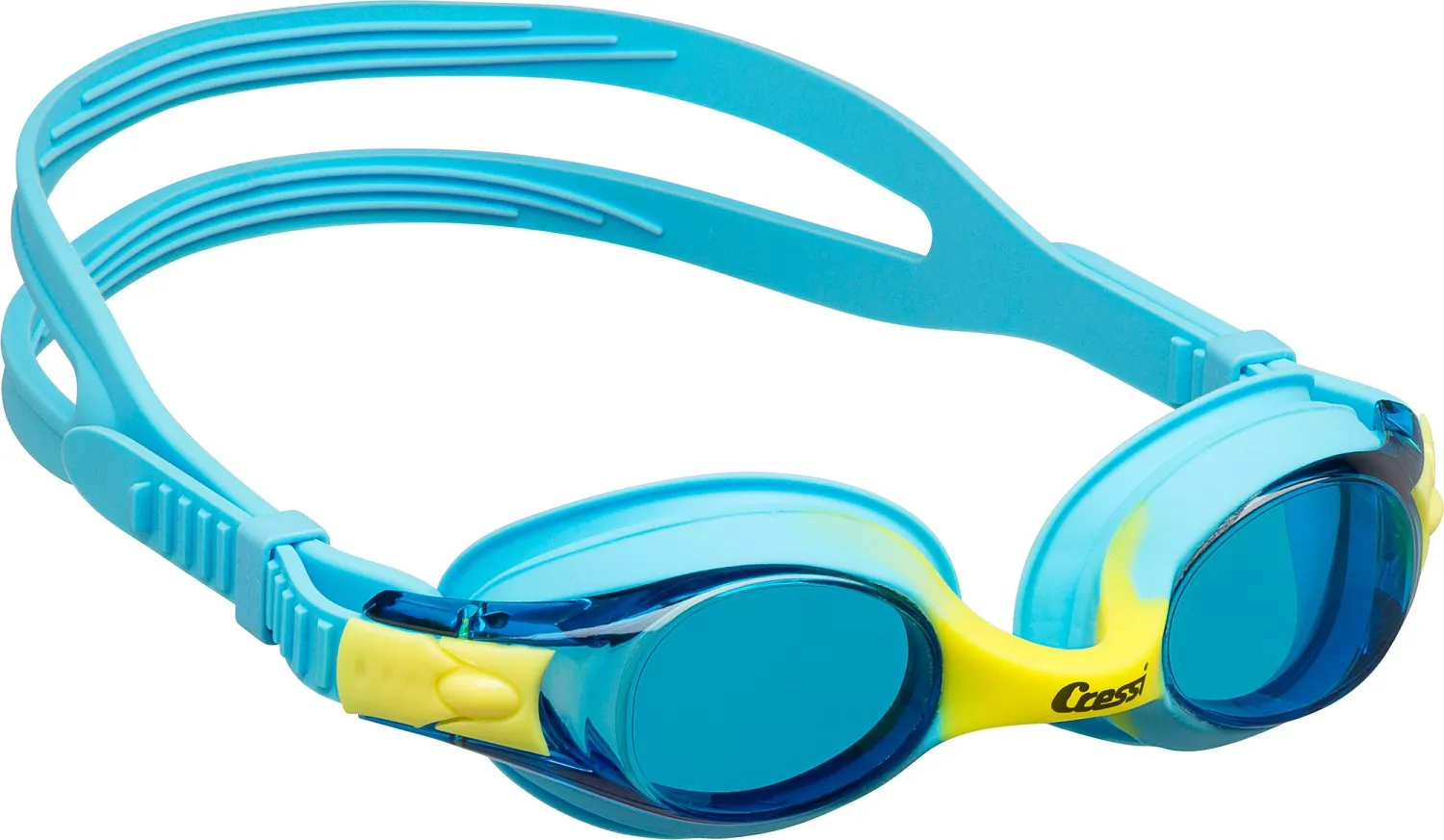 DOLPHIN GOGGLES -